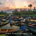 Wisdom is the silence of peaks