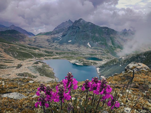 alpine 1